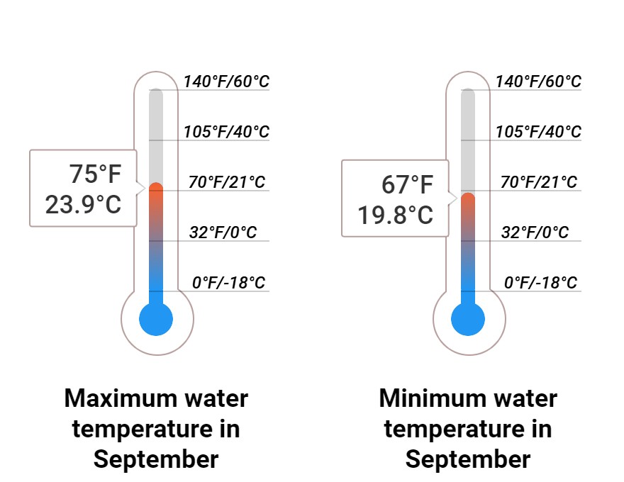 Average Sea temperature